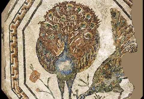 Musei Capitolini, Antiquarium, Mosaico policromo ottagonale con pavoni